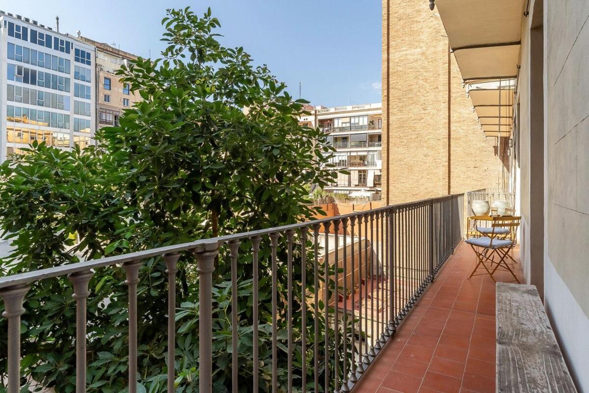Canela Homes Midterm Elegance Barcelona